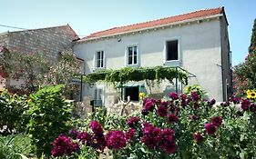 Guest House Katica